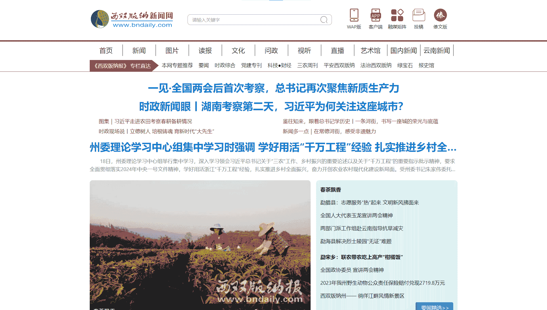 西双版纳新闻网网站首屏快照