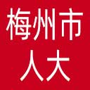 梅州市人大网站图标