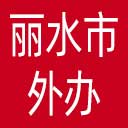 丽水市外办网站图标