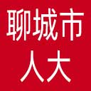 聊城市人大网站图标