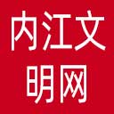 内江文明网网站图标
