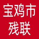 宝鸡市残联网站图标