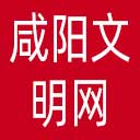 咸阳文明网网站图标