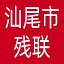 汕尾市残联网站图标
