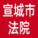 宣城市法院网站图标