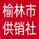 榆林市供销社网站图标