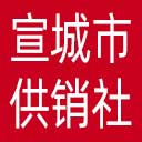 宣城市供销社网站图标