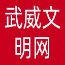 武威文明网网站图标