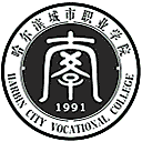 哈尔滨城市职业学院网站图标