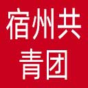 宿州共青团网站图标