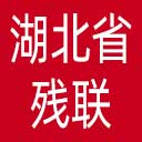 湖北省残联网站图标