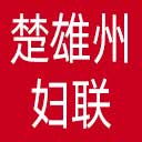 楚雄州妇联网站图标