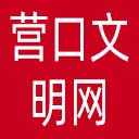 营口文明网网站图标