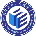 武汉软件工程职业学院网站图标