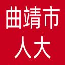 曲靖市人大网站图标