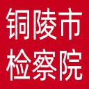 铜陵市检察院网站图标