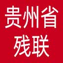 贵州省残联网站图标