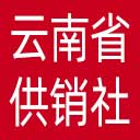 云南省供销社网站图标
