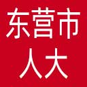 东营市人大网站图标