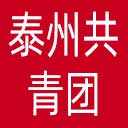 泰州共青团网站图标
