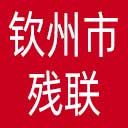 钦州市残联网站图标