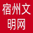 宿州文明网网站图标