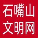 石嘴山文明网网站图标