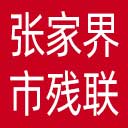 张家界市残联网站图标