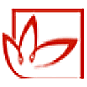 济宁新闻网网站图标