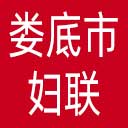 娄底市妇联网站图标