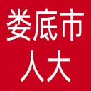 娄底市人大网站图标