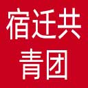 宿迁共青团网站图标