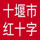 十堰市红十字会网站图标