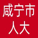 咸宁市人大网站图标