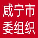 中共咸宁市委组织部网站图标