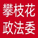 中共攀枝花市委政法委网站图标