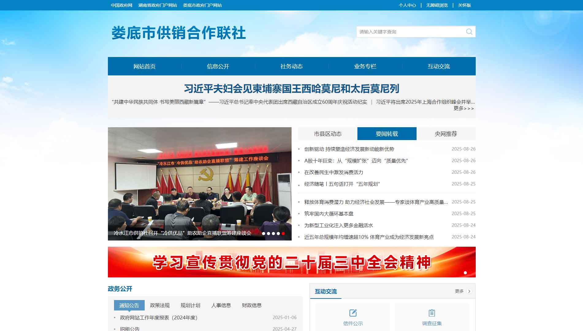 娄底市供销社网站首屏快照