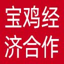 宝鸡市经济合作局网站图标