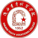 陕西青年职业学院网站图标