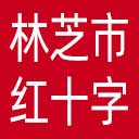林芝市红十字会网站图标