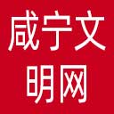 咸宁文明网网站图标