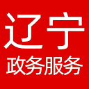辽宁政务服务网网站图标