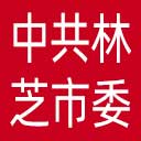 中共林芝市委网站图标