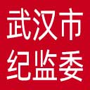 武汉市纪委|武汉市监委网站图标