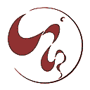 中国舞协网网站图标
