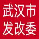 武汉市发改委网站图标