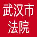 武汉市法院网站图标