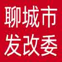 聊城市发改委网站图标