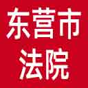东营市法院网站图标