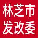 林芝市发改委网站图标